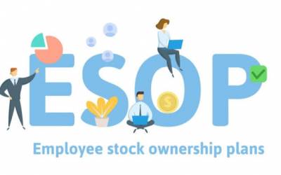 Employee Stock Options for Startups